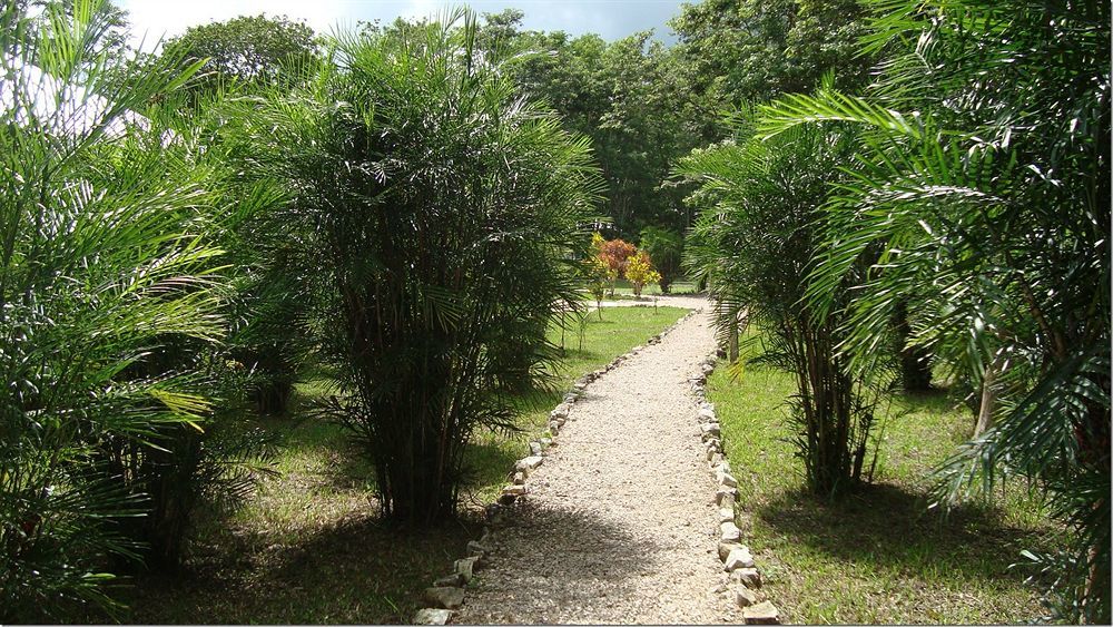 Maya Zac Peten Jungle Lodge El Remate Exterior photo